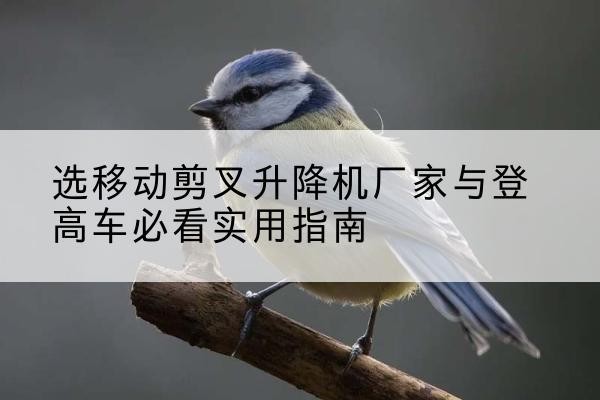 敦煌电动升降机厂家-选移动剪叉升降机厂家与登高车必看实用指南
