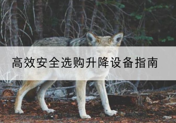 敦煌升降货梯厂家推荐-*安全选购升降设备指南