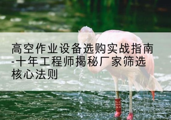 敦煌剪叉式升降机厂家-高空作业设备选购实战指南-十年工程师揭秘厂家筛选核心法则